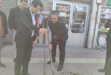 کاشت درخت در روز درختکاری