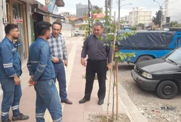 بازدید از خیابان معلم جهت جابجایی تیرهای بتنی