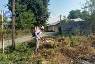 با هدف زیباسازی محیط شهری، چمن‌زنی در خیابان شالیزار