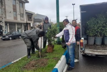 کاشت درخت در هفته درختکاری توسط شهردار و اعضای شورای اسلامی تولم شهر