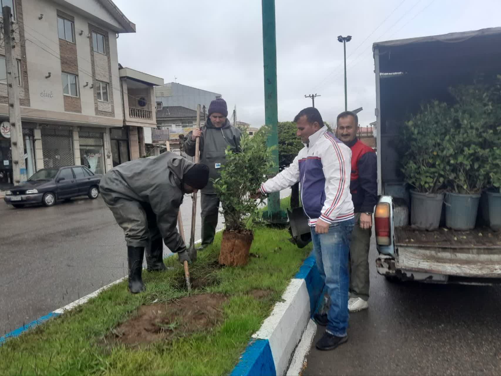 کاشت درخت در هفته درختکاری توسط شهردار و اعضای شورای اسلامی تولم شهر